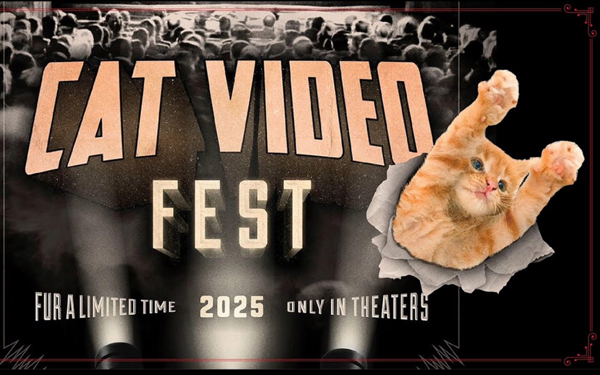 Poster-style banner reading 'LAT VIDEO FEST' in peach letters, torn paper edge reveals an orange kitten on the right; crowd backdrop and decorative red borders.