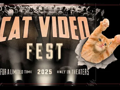 Poster-style banner reading 'LAT VIDEO FEST' in peach letters, torn paper edge reveals an orange kitten on the right; crowd backdrop and decorative red borders.
