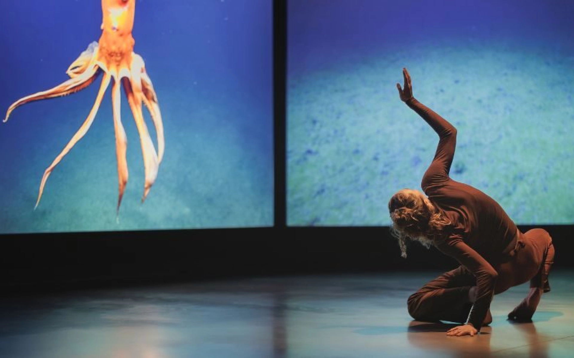 Contemporary dancer in a rust coloured outfit on a dark stage, one knee down, arm raised, with two screens showing an orange tentacled sea creature and a sandy seabed.