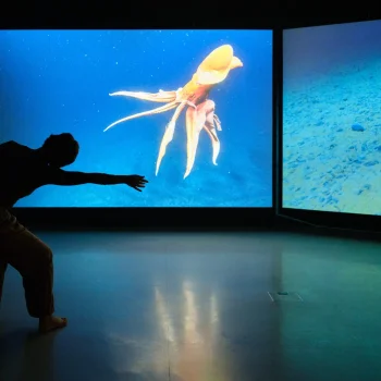 Silhouette of a person in a dark room reaching toward a large screen displaying an orange squid underwater, with a second screen showing a blue seafloor.