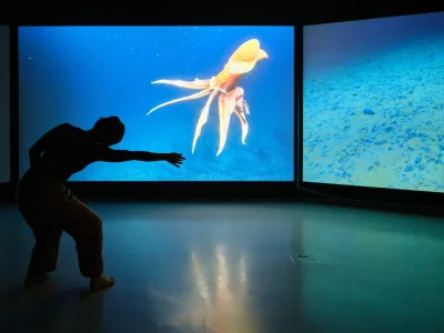 Silhouette of a person in a dark room reaching toward a large screen displaying an orange squid underwater, with a second screen showing a blue seafloor.