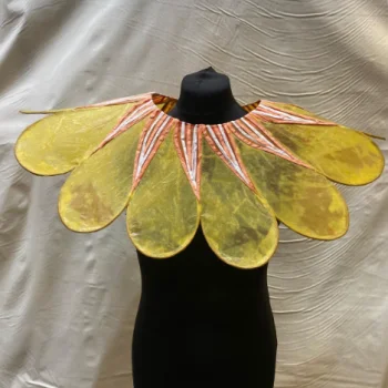 New Carnival Company 5
