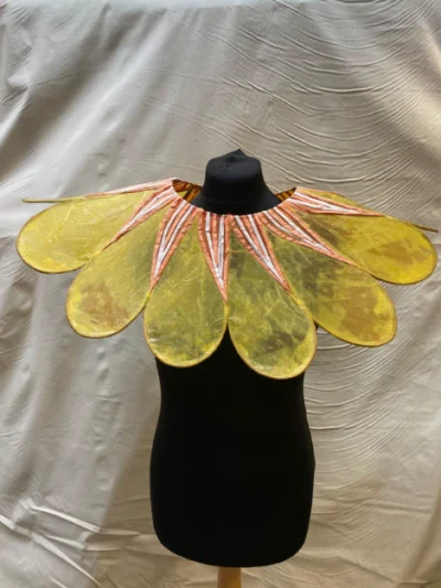 New Carnival Company 5