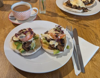 Two open-faced toasts topped with avocado, mushrooms, tomato, and a creamy sauce, garnished with microgreens on a white plate beside a patterned teacup.